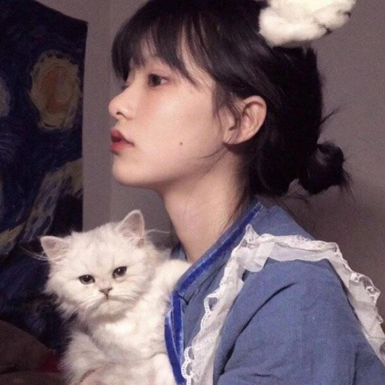 青木康直 - 体育赛事直播在线观看 - 云端观影